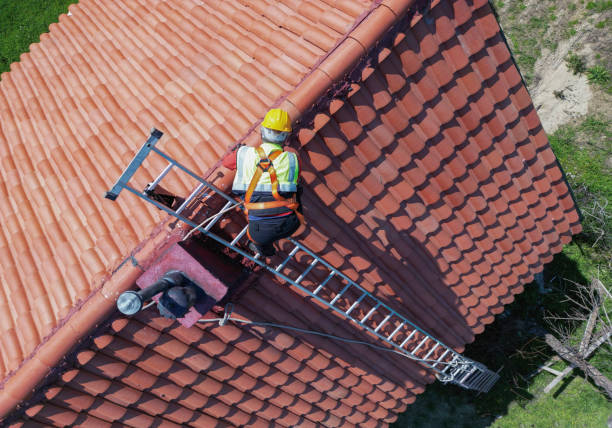 Best Roof Maintenance and Cleaning  in Whitney, TX